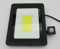 Lamp Led Halogen Floodlight 100WCzujka