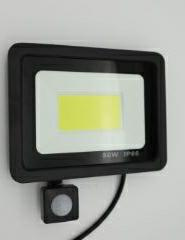 Lamp Led Halogen Floodlight 50W Detector