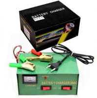 Prostownik samochodowy  20A 6V 12V 