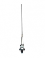 Antena President Indiana 1/2 2Dbi